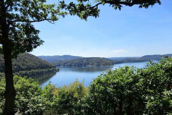 Stausee in Thüringen mit Wald- und Wiesenlanschaft